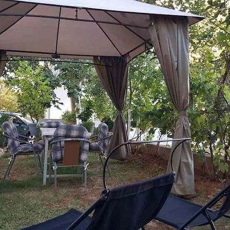 Apartment Sandra ซาดาร์ ภายนอก รูปภาพ